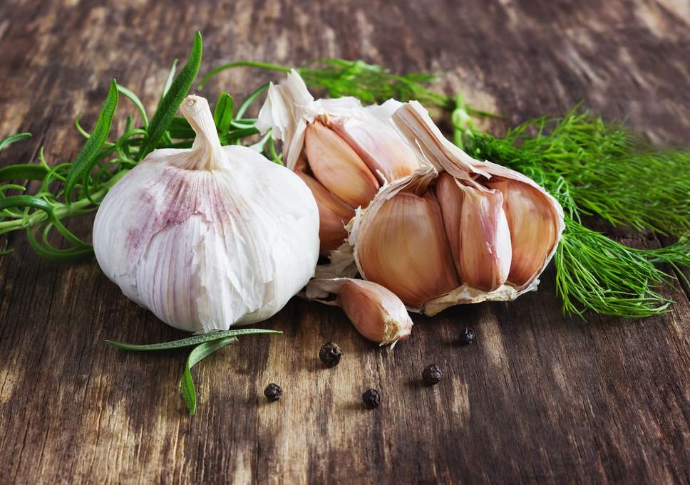 PROVEN HEALTH BENEFITS OF GARLIC